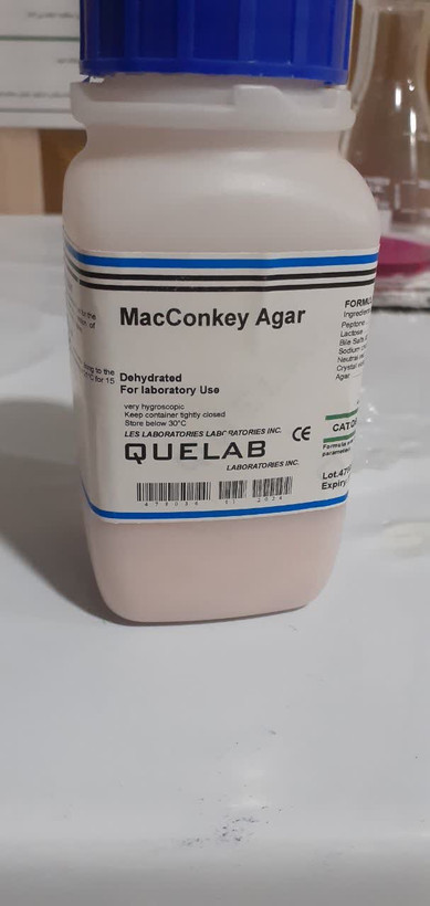 محیط کشت مک کانکی آگار ۱۰۰ گرمی کمپانی کیولب(Q lab) کانادایی